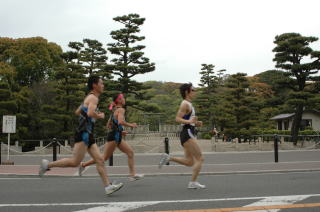 仁徳陵の正面を通過